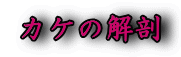 JP̉U